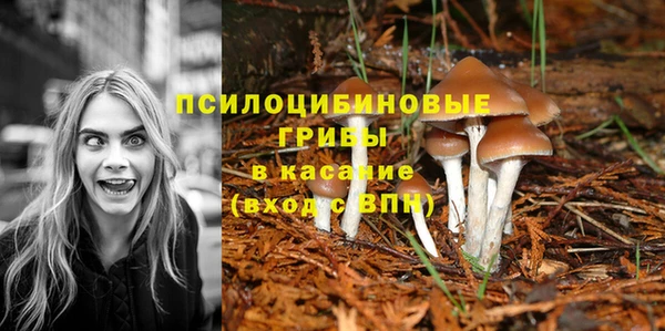сатива Алексеевка