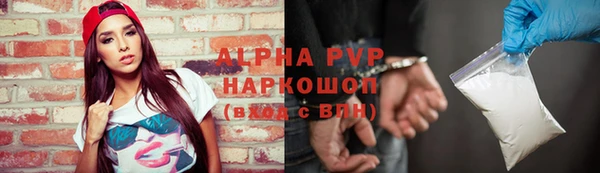 стафф Алзамай
