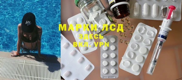 стафф Алзамай